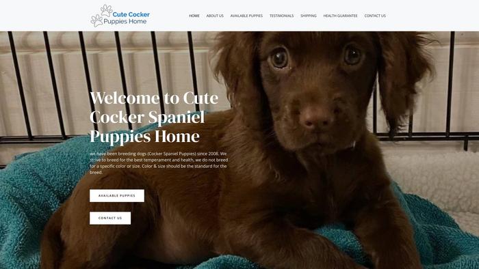 Cutecockerspanielpuppies.com - Cockerspaniel Puppy Scam Review