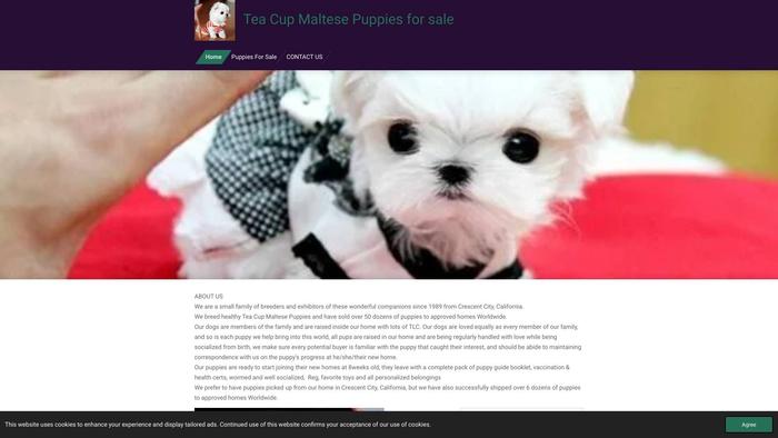 Cutemaltesepuppy.com - Maltese Puppy Scam Review