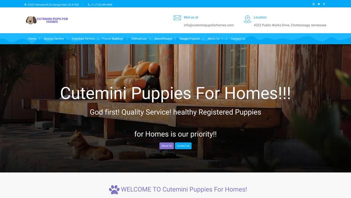 Cuteminipupsforhomes.com - French Bulldog Puppy Scam Review