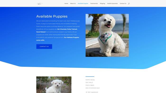 Cuteplayfulmaltesepupshome.com - Maltese Puppy Scam Review