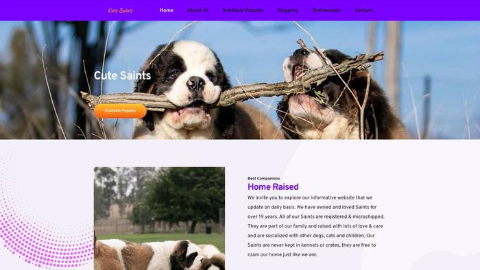 Cutesaints4home.com - Saint Bernard Puppy Scam Review