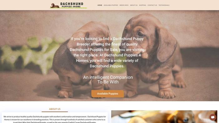 Dachshundpuppies4homes.com - Dachshund Puppy Scam Review