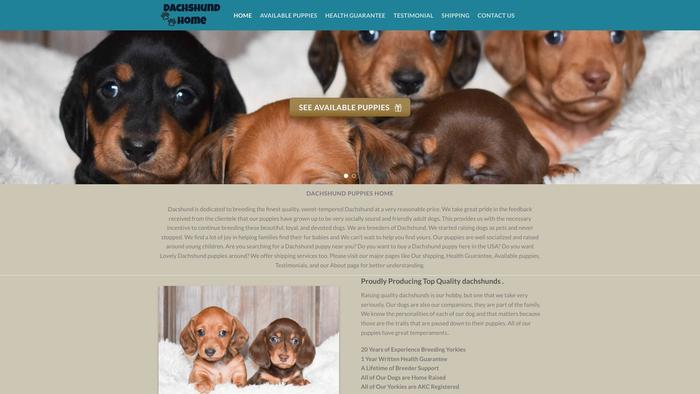 Dachshundpuppieshome.pet - Dachshund Puppy Scam Review