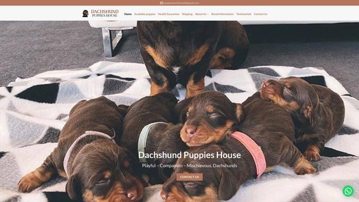 Dachshundpuppieshouse.com - Dachshund Puppy Scam Review