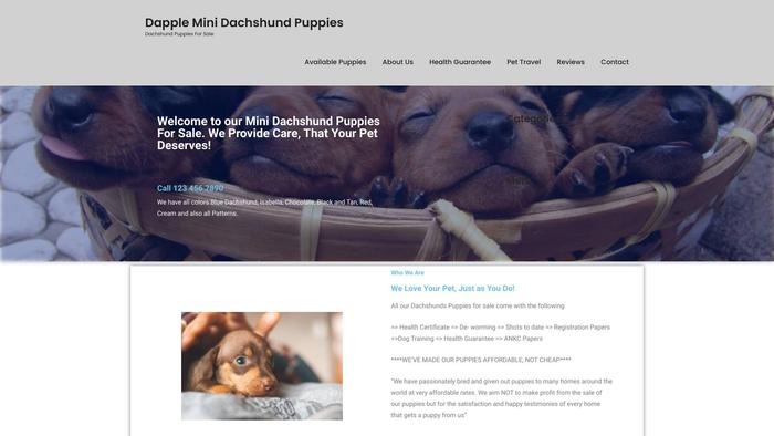 Dappleminidachshundpuppies.com - Dachshund Puppy Scam Review