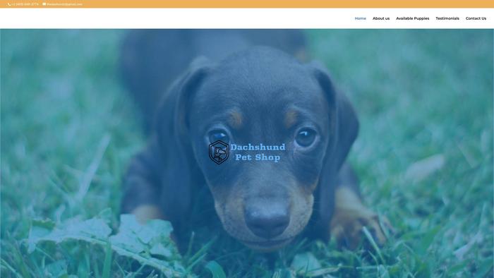 Dashundpetshop.com - Dachshund Puppy Scam Review