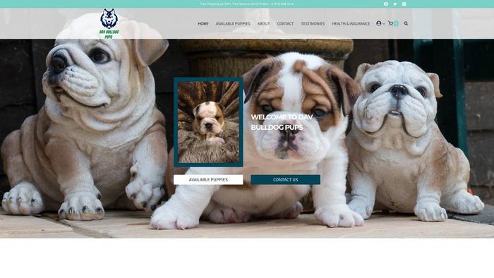 Davbulldogpups.com - English Bulldog Puppy Scam Review