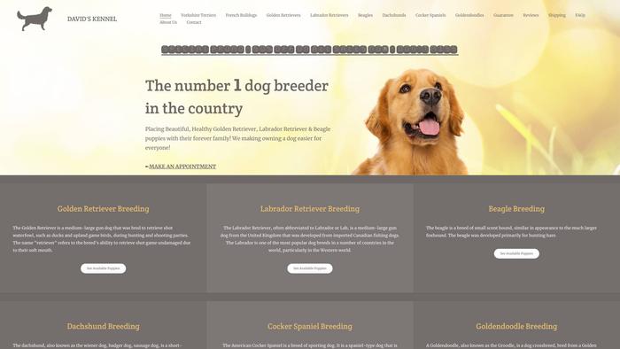 Davidskennel.com - Labrador Puppy Scam Review