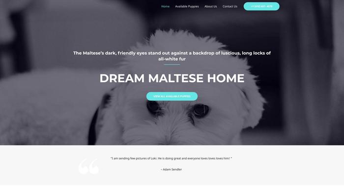 Delightfulmaltesepups.com - Maltese Puppy Scam Review