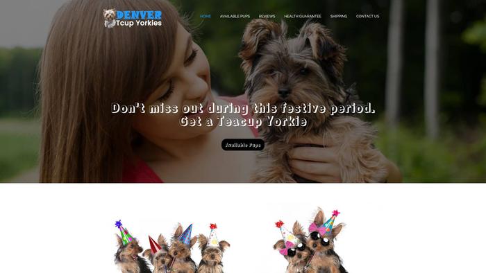 Denvertcupyorkies.com - Yorkshire Terrier Puppy Scam Review