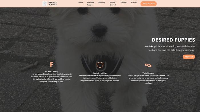 Desiredpuppies.com - Maltipoo Puppy Scam Review