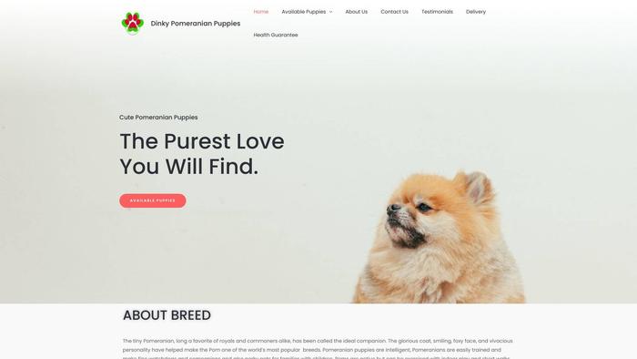 Dinkypomeranianpuppies.com - Pomeranian Puppy Scam Review