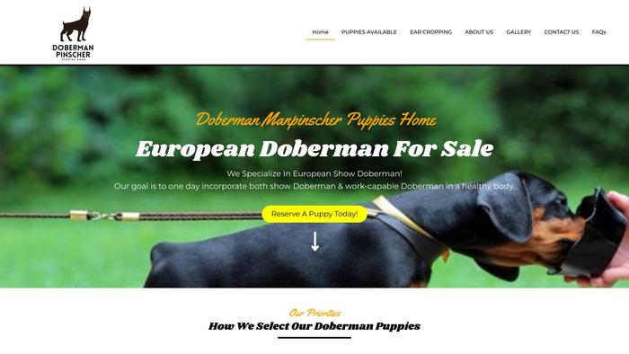 Dobermanpinscherpuppieshome.com - Doberman Pinscher Puppy Scam Review