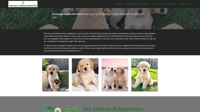 Donavagoldenretrieverpuppies.com - Golden Retriever Puppy Scam Review