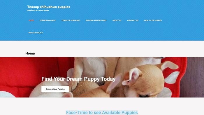 Dreamteacupchihuahua.com - Chihuahua Puppy Scam Review