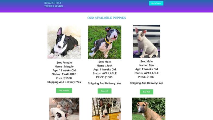 Durablebullterrierkennel.com - Terrier Puppy Scam Review