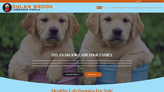 Dylanbrooklabradorfamily.com - Labrador Puppy Scam Review