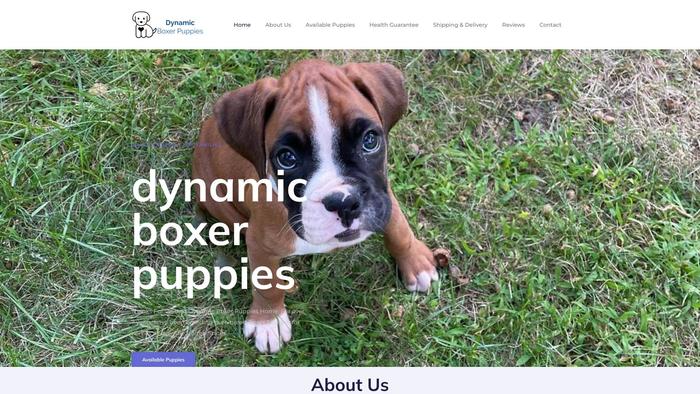 Dynamicboxerpuppies.com - Boxer Puppy Scam Review