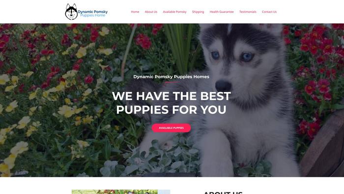 Dynamicpomskypups.com - Pomeranian Puppy Scam Review