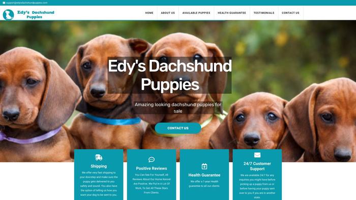 Edysdachshundpuppies.com - Dachshund Puppy Scam Review