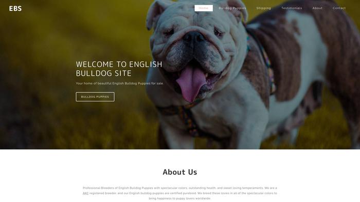 Englishbulldogpuppies.online - English Bulldog Puppy Scam Review