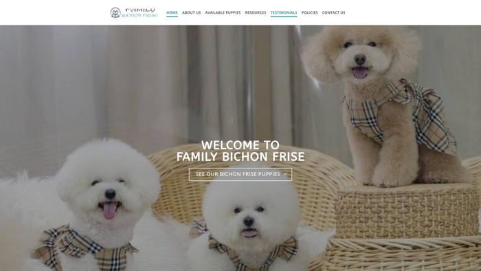 Familybichonfrise.com - Bichon Frise Puppy Scam Review