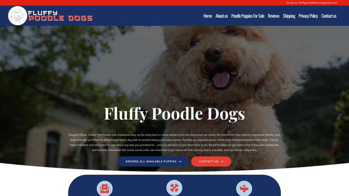 Fluffypoodledogs.com - Poodle Puppy Scam Review