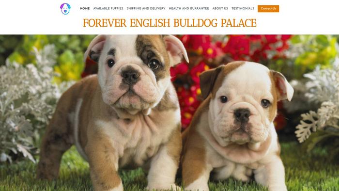 Foreverenglishbulldogpalace.com - English Bulldog Puppy Scam Review