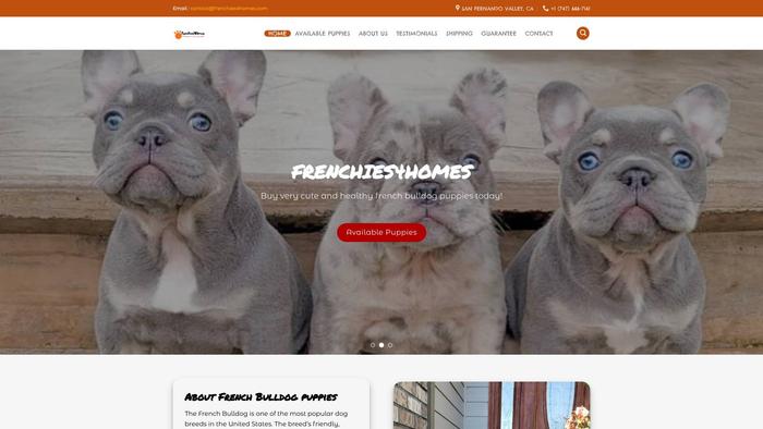 Frenchies4homes.com - French Bulldog Puppy Scam Review