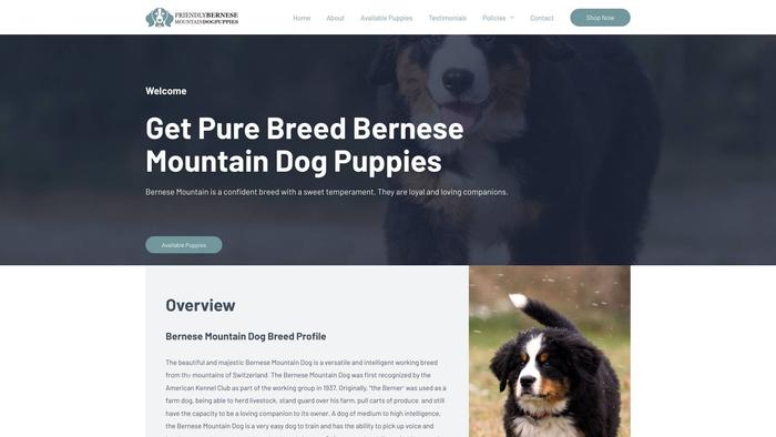 Friendlybernesemountaindogpuppies.com - Bernese Mountain Dog Puppy Scam Review