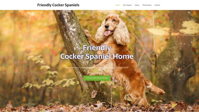 Friendlycockerspaniel.com - Cockerspaniel Puppy Scam Review