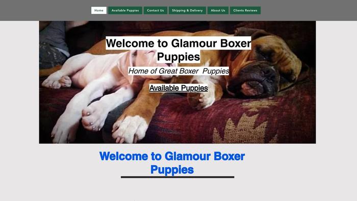 Glamourboxerpuppies.com - Boxer Puppy Scam Review