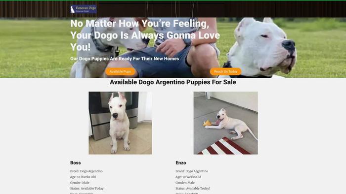 Goldendogoargentino.com - Labrador Puppy Scam Review