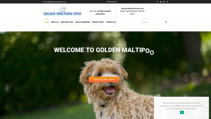 Goldenmaltipoospot.com - Maltipoo Puppy Scam Review