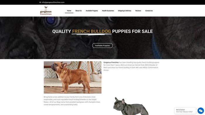 Gorgeousfrenchies.com - French Bulldog Puppy Scam Review