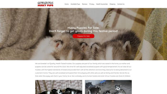 Gorgeoushuskypups.com - Husky Puppy Scam Review