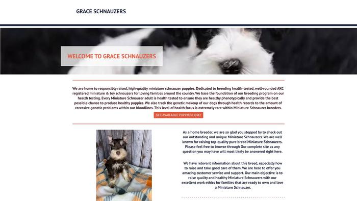 Graceschnauzers.site - Schnauzer Puppy Scam Review