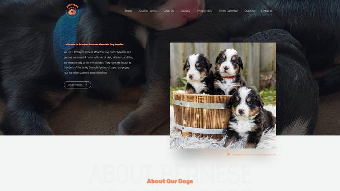 Graciousbernesemountaindogpuppies.com - Bernese Mountain Dog Puppy Scam Review