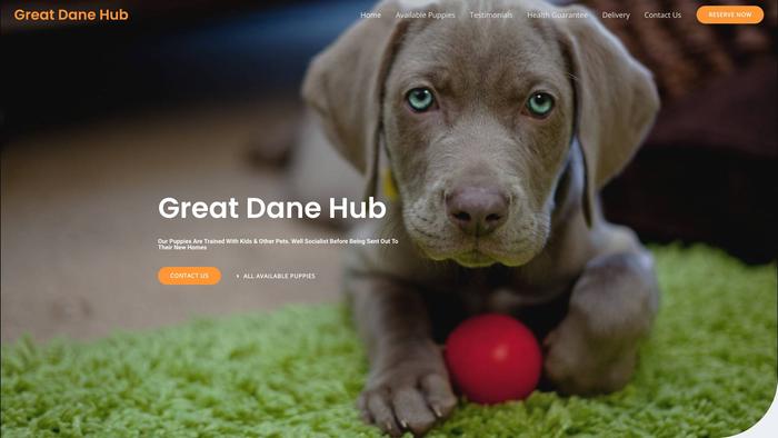 Greatdanehub.com - Great Dane Puppy Scam Review