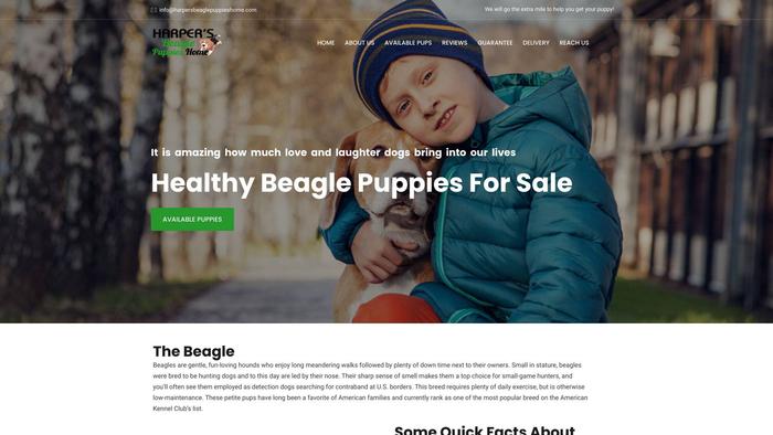 Harpersbeaglepuppieshome.com - Beagle Puppy Scam Review