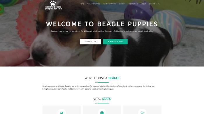 Healthybeaglepuppiesforsale.com - Beagle Puppy Scam Review