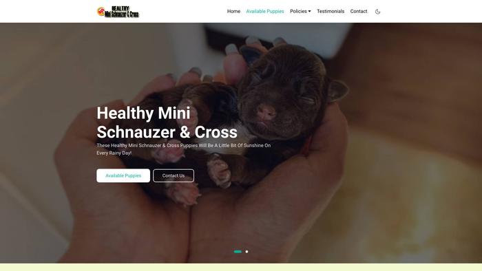 Healthyminischnauzerandcross.com - Schnauzer Puppy Scam Review