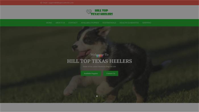 Hilltoptexasheeler.com - Terrier Puppy Scam Review