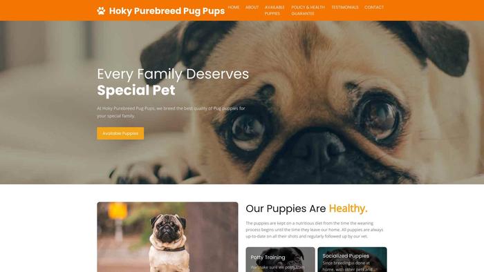 Hokypurebreedpugpups.info - Pug Puppy Scam Review