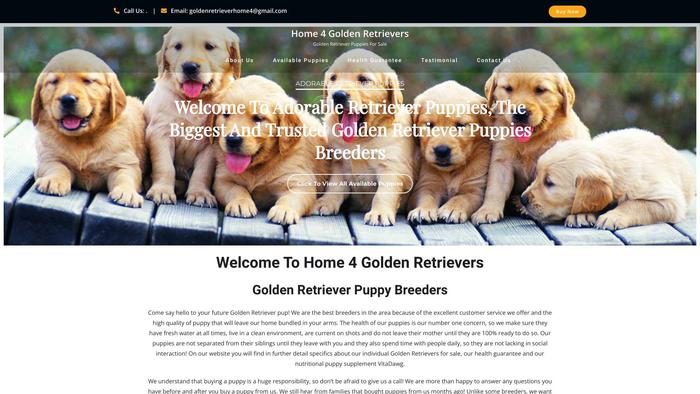 Home4goldenretrievers.com - Golden Retriever Puppy Scam Review