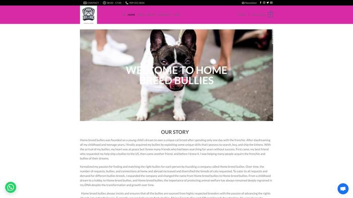 Homebreedbullies.com - French Bulldog Puppy Scam Review