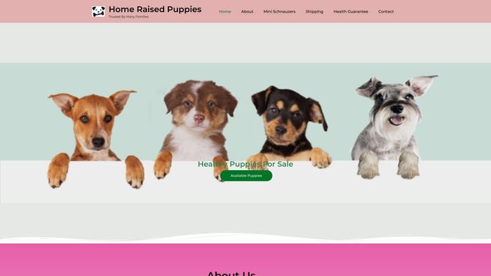 Homeraisedpuppies.online - Schnauzer Puppy Scam Review