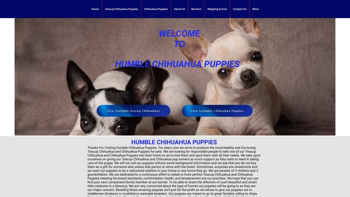 Humblechihuahuas.com - Chihuahua Puppy Scam Review