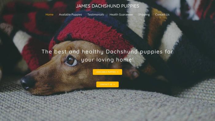 Jamesdachshundpuppies.com - Dachshund Puppy Scam Review