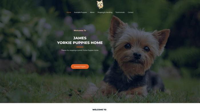 Jamesyorkiepuppieshome.com - Yorkshire Terrier Puppy Scam Review